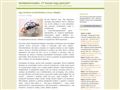 Gerillainformatika